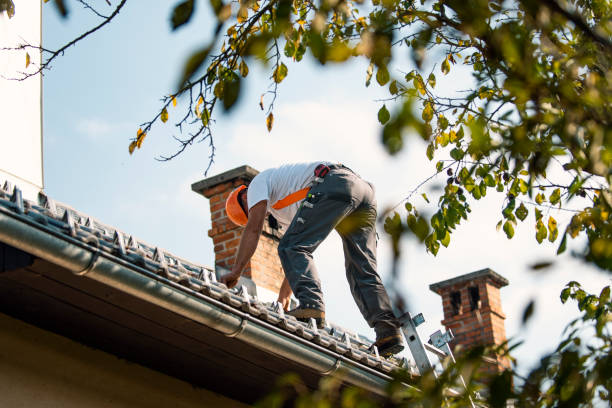 Best Affordable Roofing Company  in Mccom, OH
