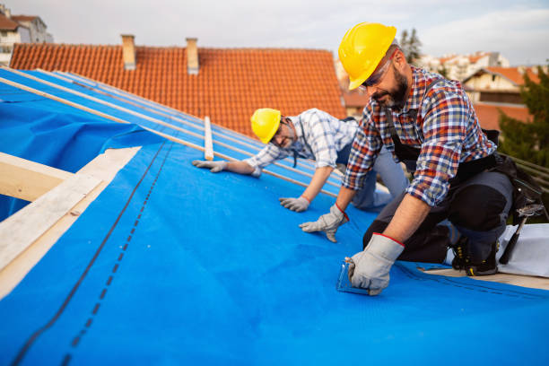 Best Shingle Roofing Installation  in Mccom, OH