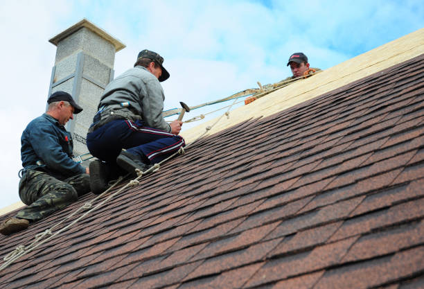 Best Metal Roofing Contractor  in Mccom, OH